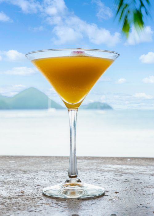 mango martini 500700