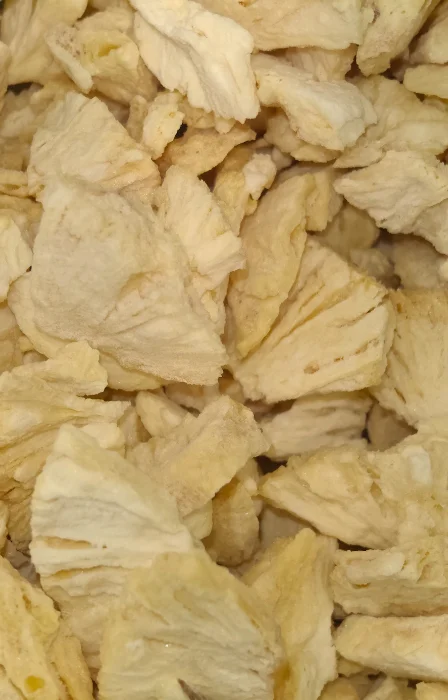liofiliziran ananas – rezine (1 kg)