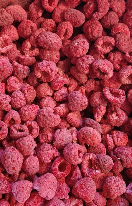 liofilizirane maline cele (1 kg)
